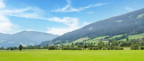 A rural landscape with green fields, a small village, and mountains in the background.