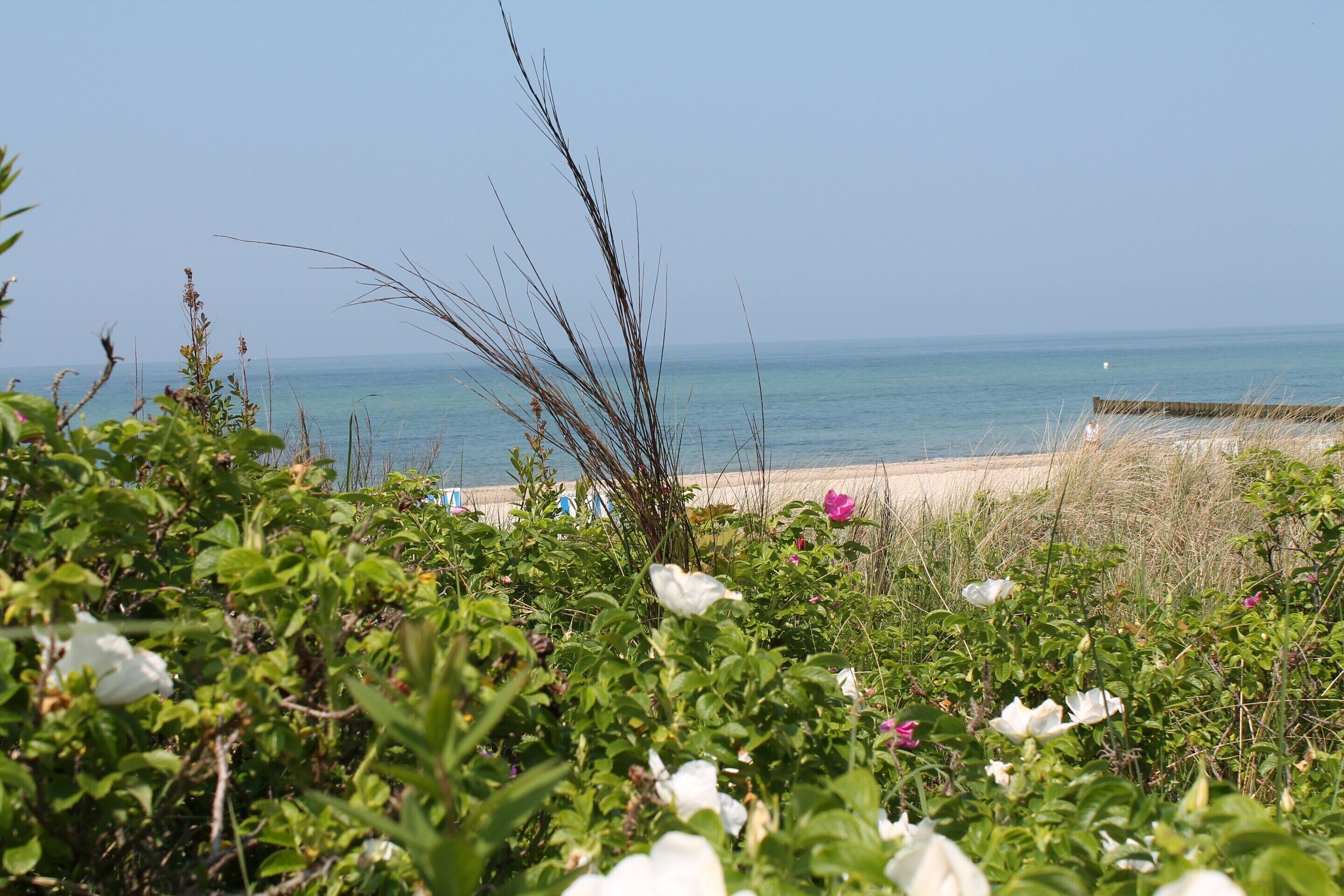 A beach with a clear view of the sea, some greenery, and a few beach umbrellas.