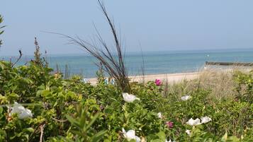 A beach with a clear view of the sea, some greenery, and a few beach umbrellas.