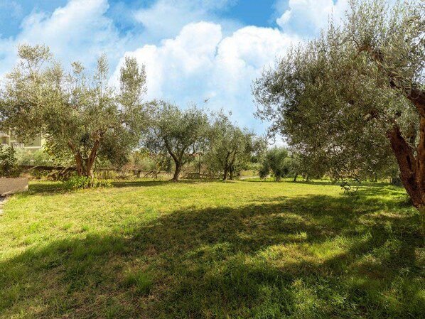 Lägenhet Classic - 3 sovrum | Trädgård