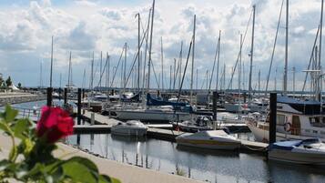 Comfort Apartment, 1 Bedroom | View from property