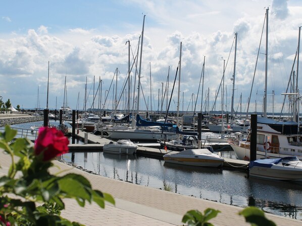 Un puerto deportivo con varias embarcaciones amarradas, cielo despejado y una rosa en primer plano.