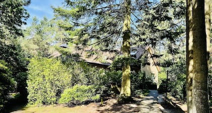 Quaint Villa in Doornspijk With Swimming Pool