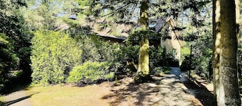 Quaint Villa in Doornspijk With Swimming Pool