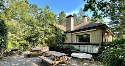 Quaint Villa in Doornspijk With Swimming Pool