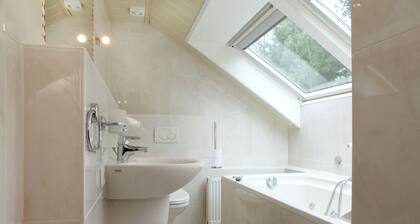 Quaint Villa in Doornspijk With Swimming Pool