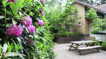 Comfort Villa, Multiple Bedrooms | Garden
