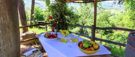 A picnic setup with a table, food, and wine glasses on a wooden deck overlooking a lush landscape.