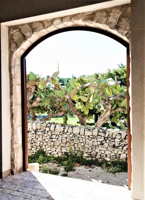 الإطلالة من المنشأة