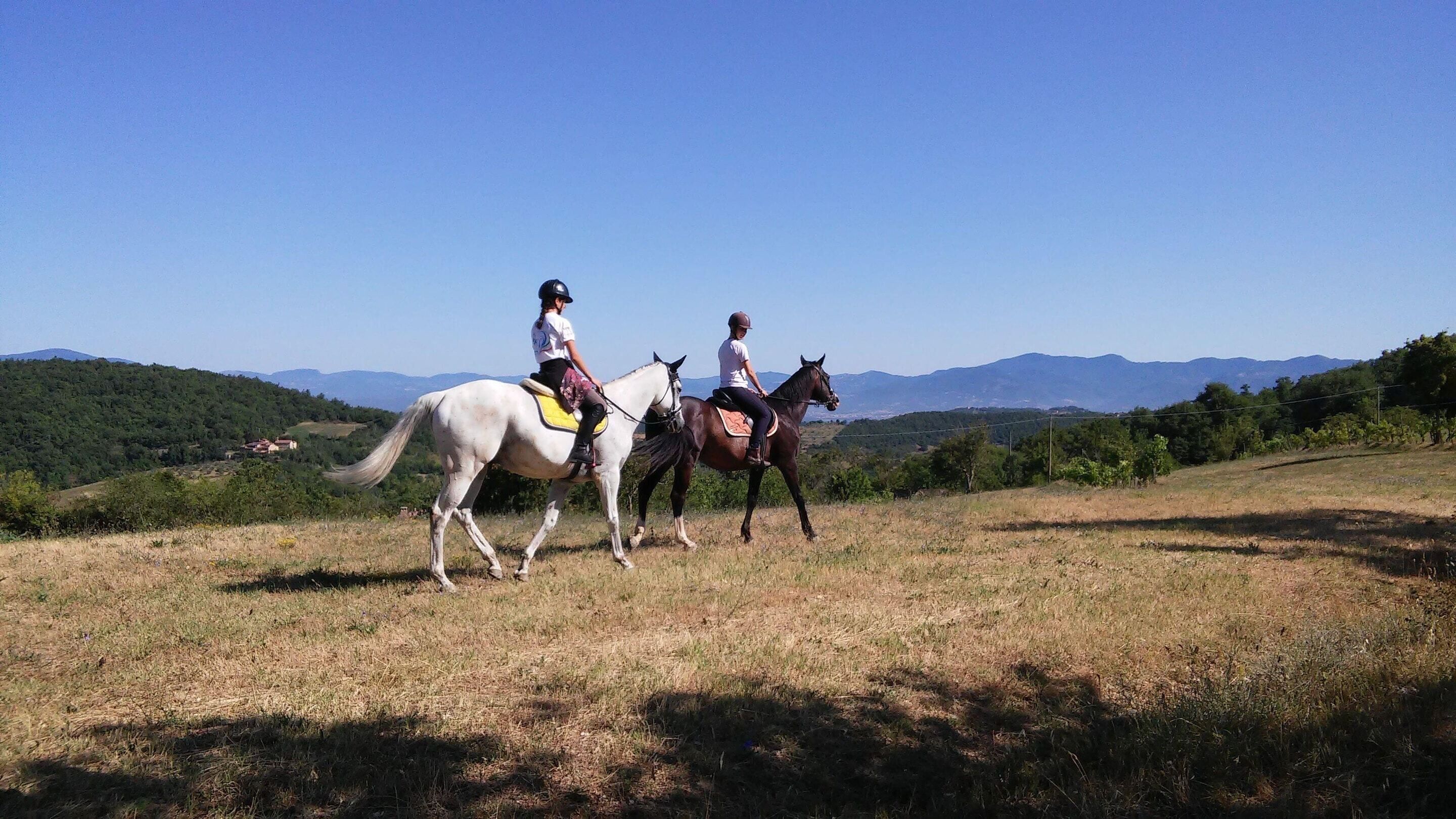 Two people riding horses on a grassy field with a mountainous backdrop.