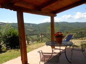 Eine überdachte Terrasse mit Tisch und Stühlen, einem Blumentopf und Blick auf eine gebirgige Landschaft.