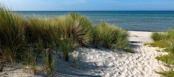 波爾島精品平房