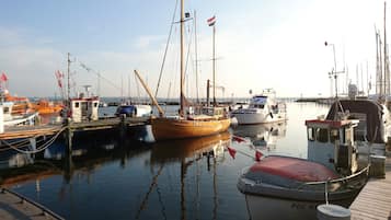 Bungalow Classique, 1 chambre | Vue depuis lâhĂ©bergement