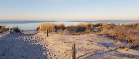 Ein sandiger Strand mit einer Holzlattenumzäunung und trockenem Gras.