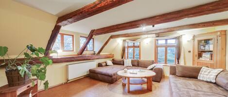 Fireplace, DVD player