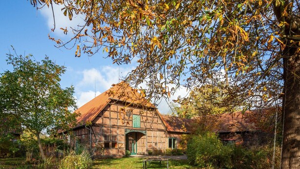 Un bâtiment traditionnel en briques, doté d’un toit de chaume, entouré d’arbres et d’une zone herbeuse.