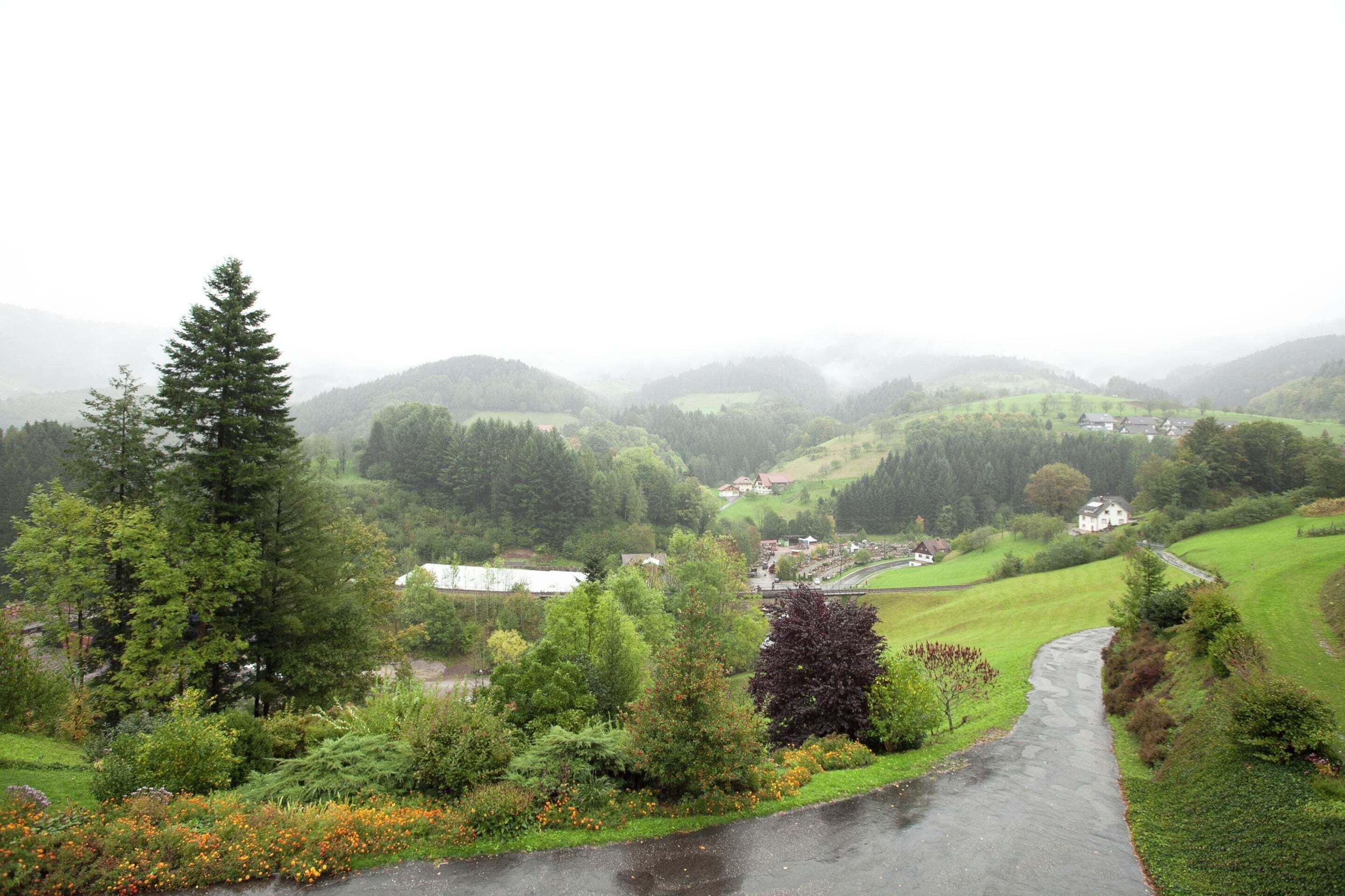 A rural landscape with a winding road, green fields, and scattered houses.
