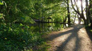 Classic-Apartment, 3 Schlafzimmer | Blick von der Unterkunft