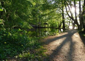 Appartement classique, 3 chambres | Vue depuis lâhĂ©bergement