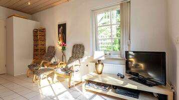 Comfort Apartment, 2 Bedrooms | Living room | DVD player