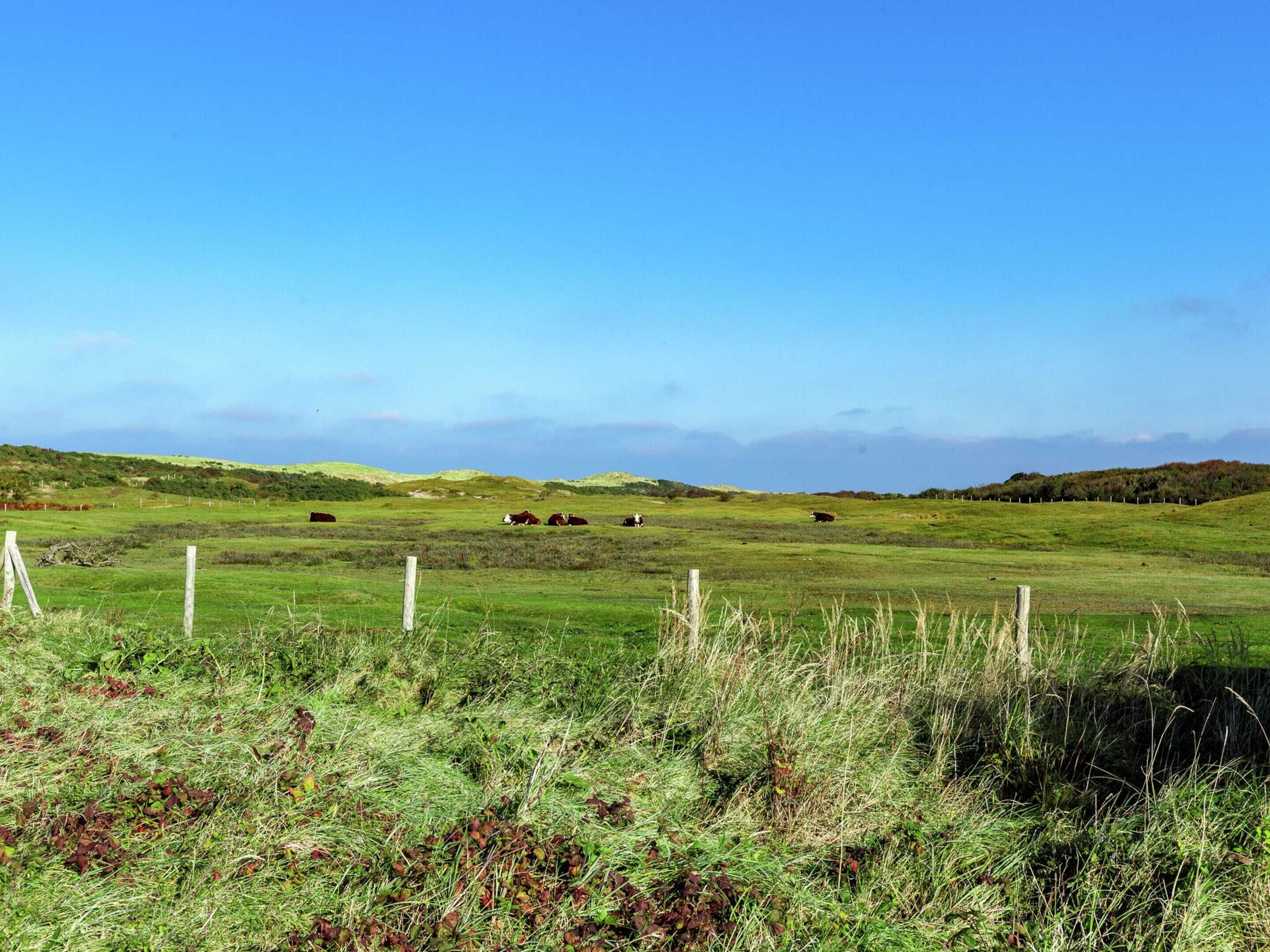 A rural landscape with rolling hills, a clear blue sky, and a fence enclosing a grassy field.