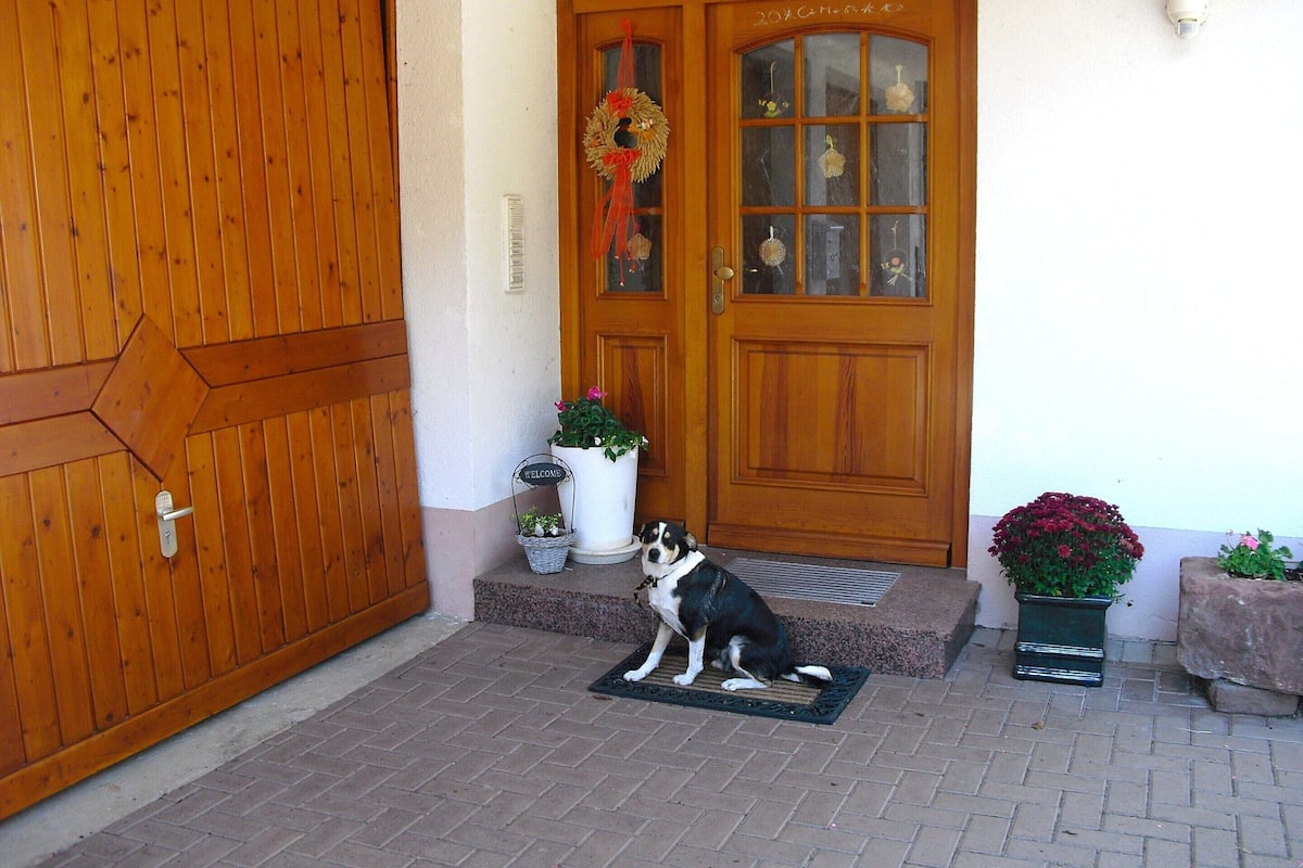 A wooden door with a glass panel, a welcome sign, and a dog on a mat in front.