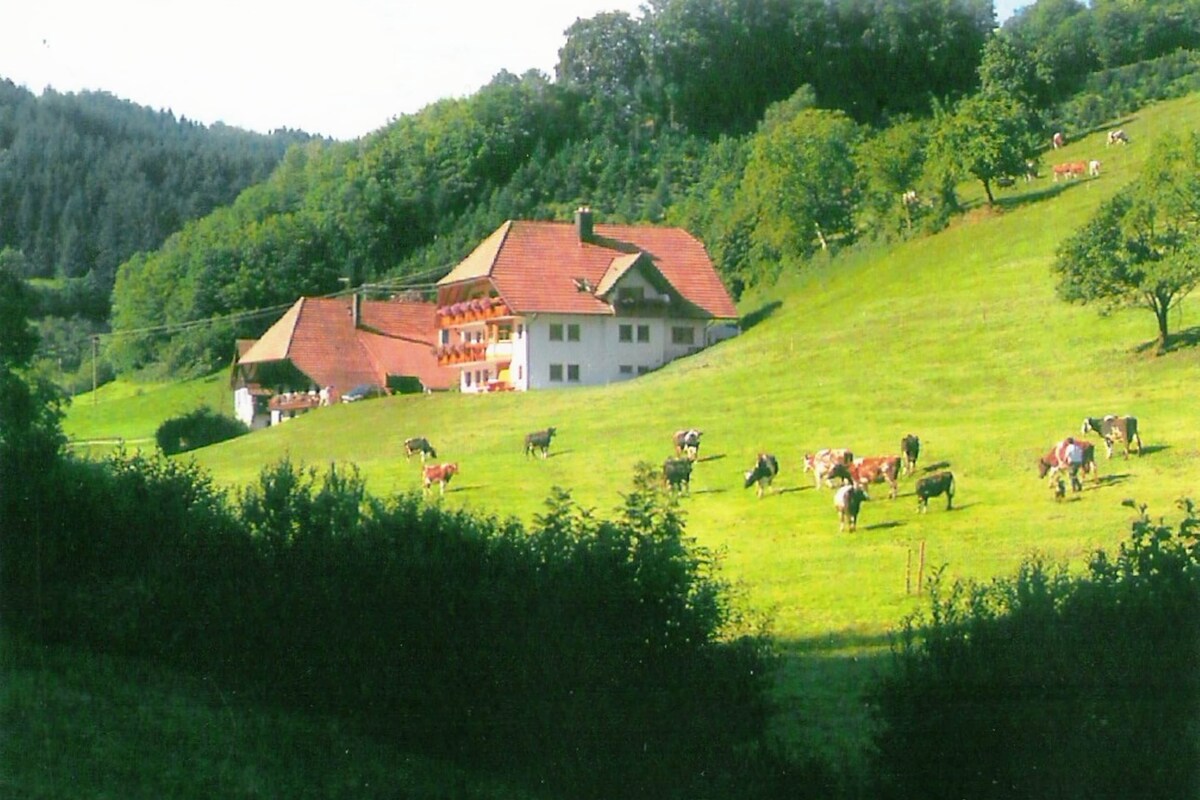 A house with a red roof and white walls, surrounded by a green field with cows grazing.