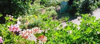Comfortable Holiday Home in a Beautiful Location