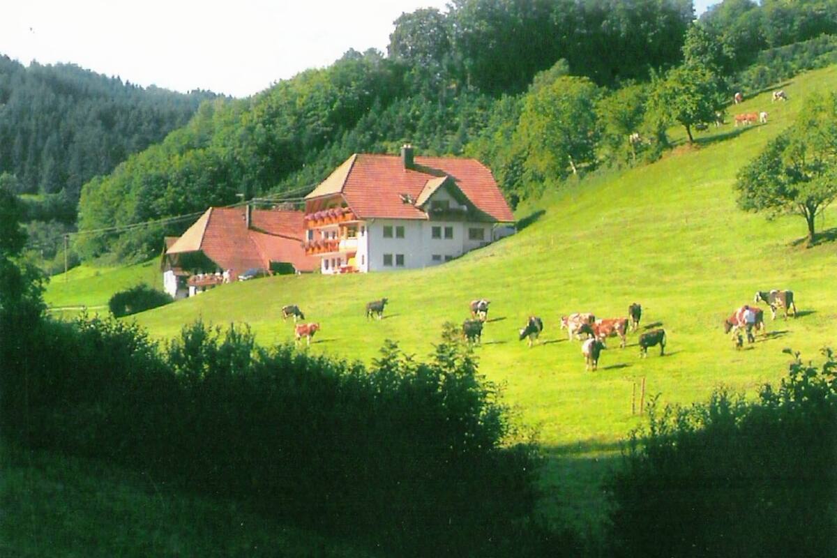 A house with a red roof and white walls, surrounded by a green field with cows grazing.