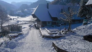 A snow-covered village with a prominent house featuring a steep roof and a small porch. - Comfortable Holiday Home in a Beautiful Location (Hofstetten)