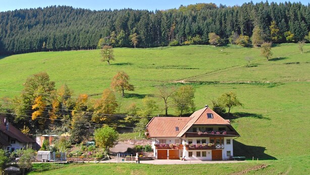 A two-story house with a sloped roof, surrounded by a lush green field and a dense forest in the background. - Comfortable Holiday Home in a Beautiful Location (Hofstetten)