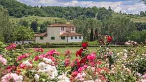 A two-story house with a tiled roof, surrounded by a lush garden with various flowers. - Restful Holiday Home in Reggello With Swimming Pool (Reggello)