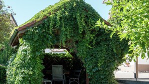 A covered outdoor seating area with a metal chair and a bench, surrounded by lush greenery. - Cozy Apartment in Schwenningen With Garden (Villingen-Schwenningen)