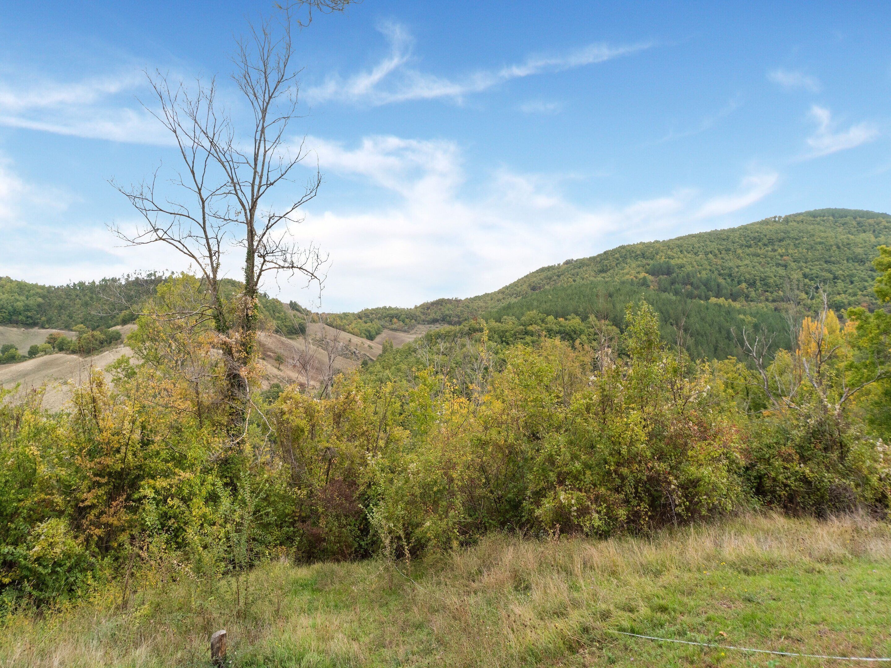 A natural landscape with a hill, trees, and a clear sky.