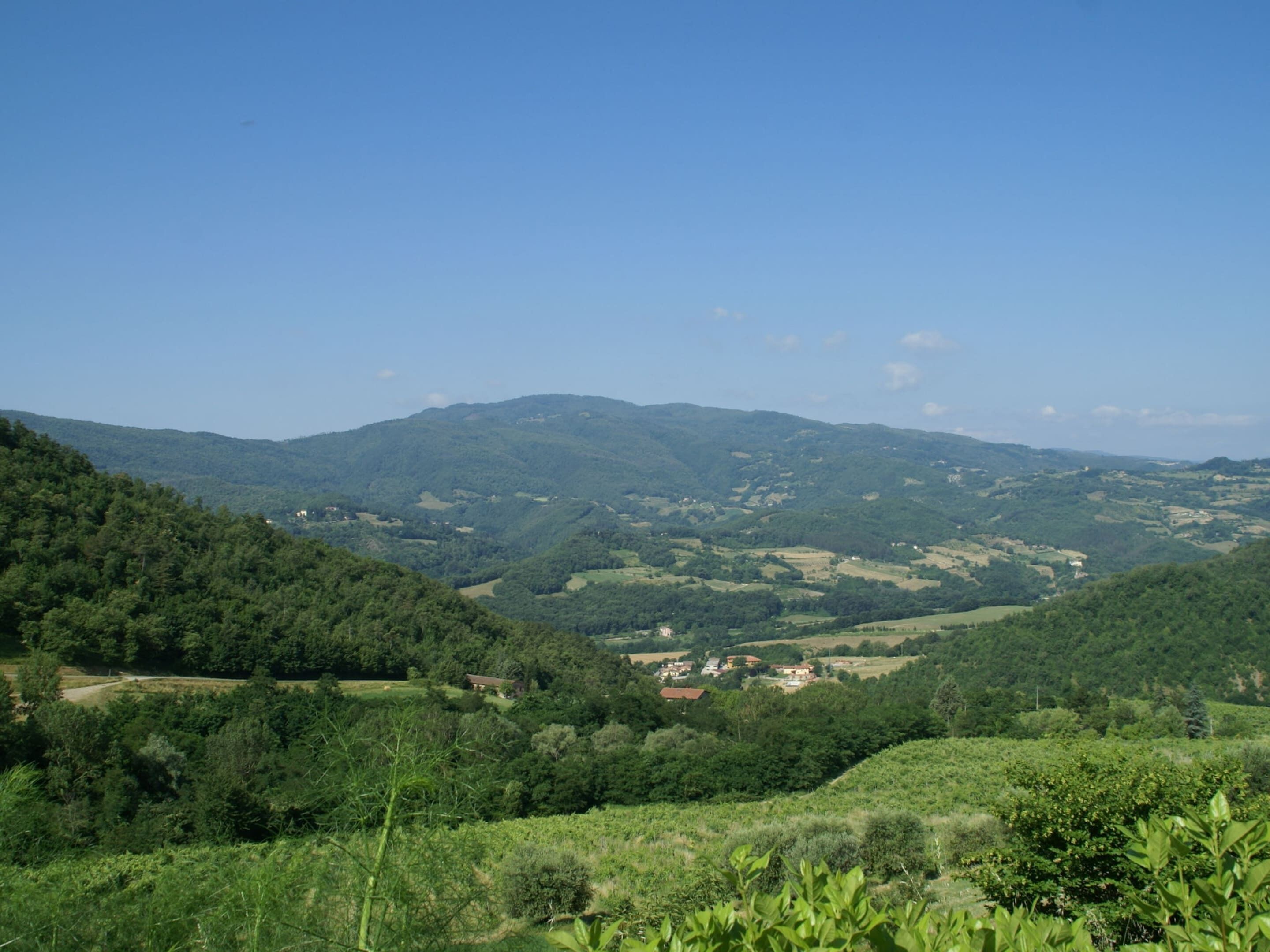 A panoramic view of a mountainous landscape with scattered houses and greenery.