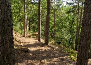豪華獨棟房屋, 3 間臥室 | 住宿景觀
