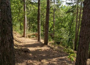 Vue depuis l’hébergement