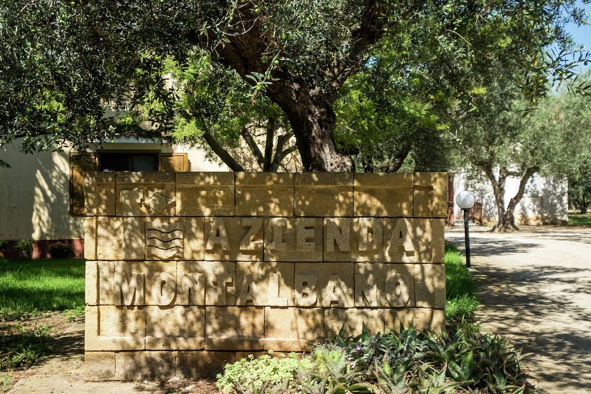 Comfort House, 1 Bedroom | Reception