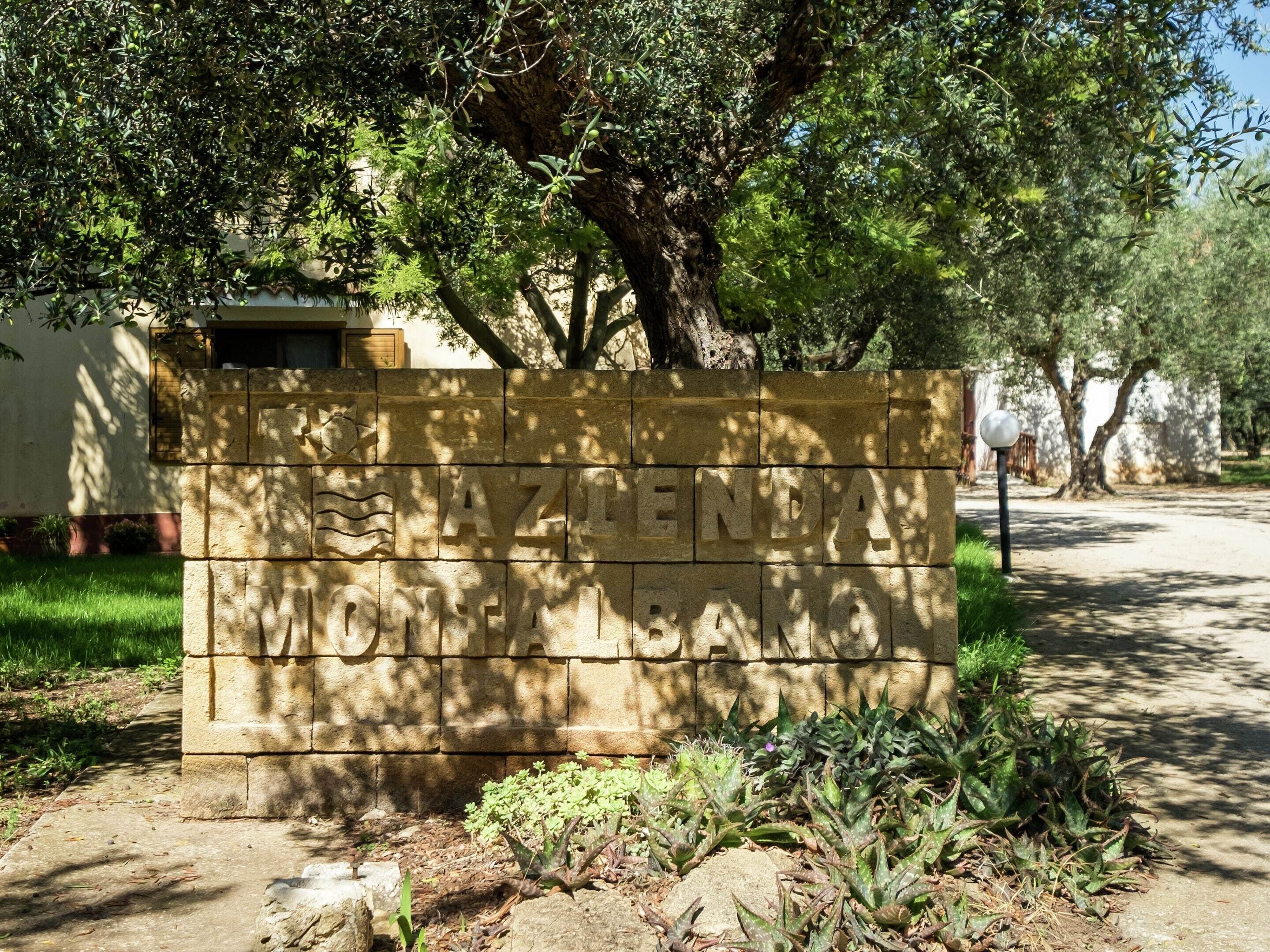 Comfort House, 1 Bedroom | Reception