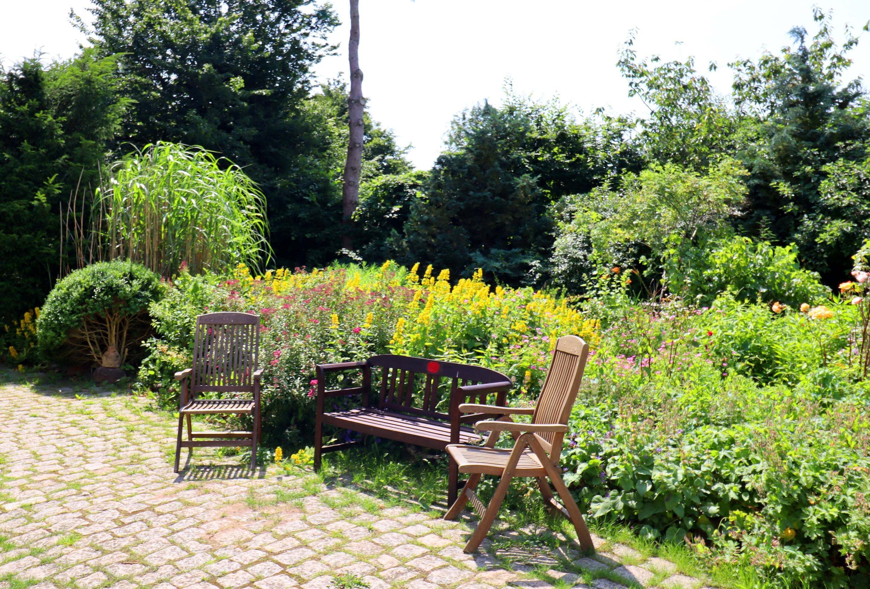 A garden with a paved walkway, two wooden benches, and a variety of plants and flowers.
