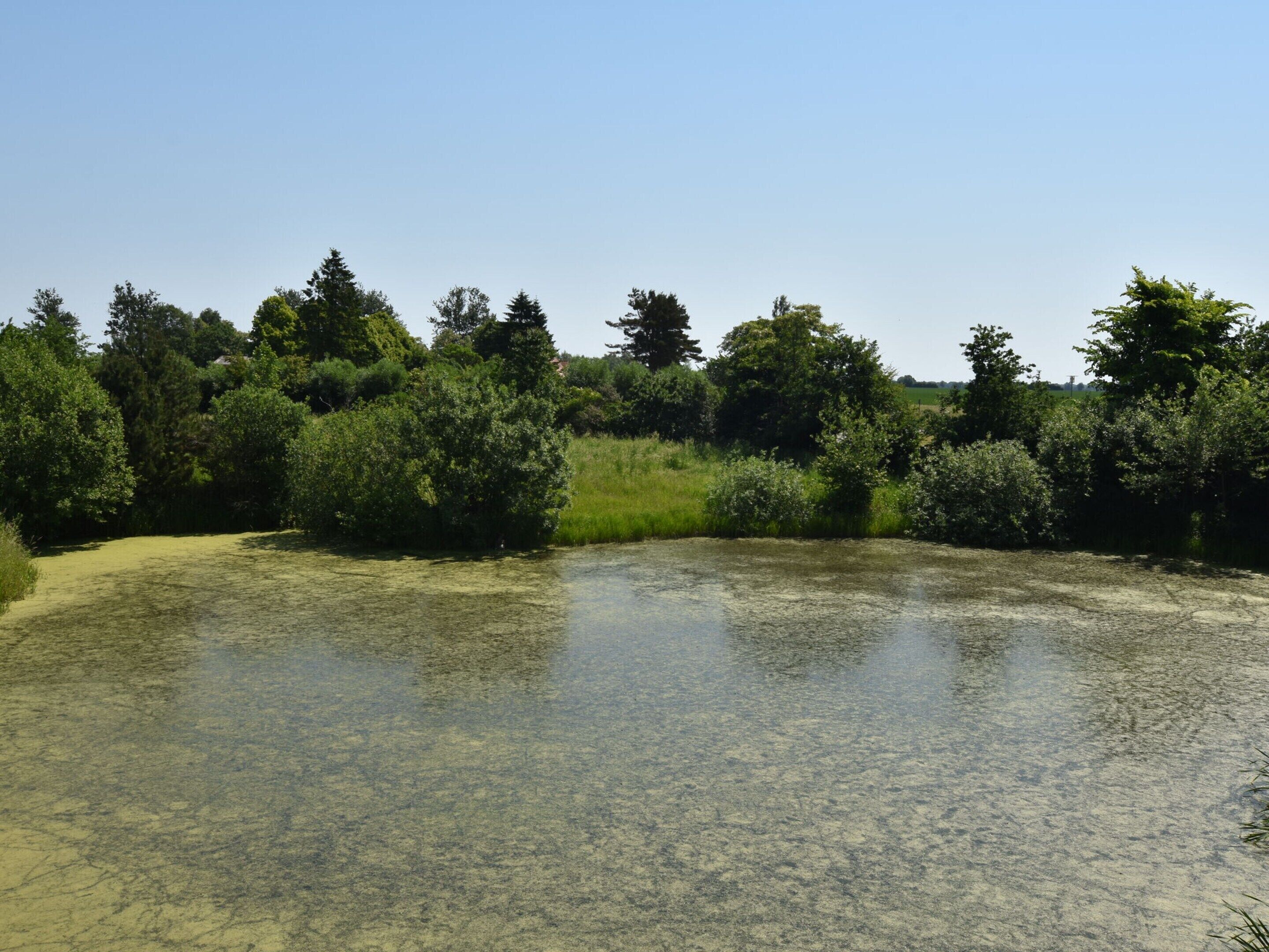 A natural landscape with a clear water body surrounded by dense greenery and trees.