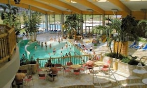 Una piscina al coperto con diverse corsie, circondata da palme e lettini.