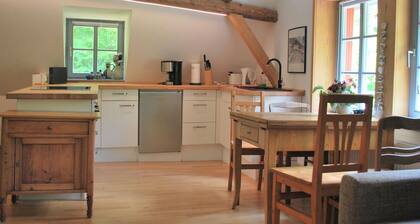 Chic Apartment in Thuringia With Sauna