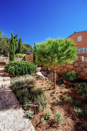 Comfort Apartment, 3 Bedrooms | Garden