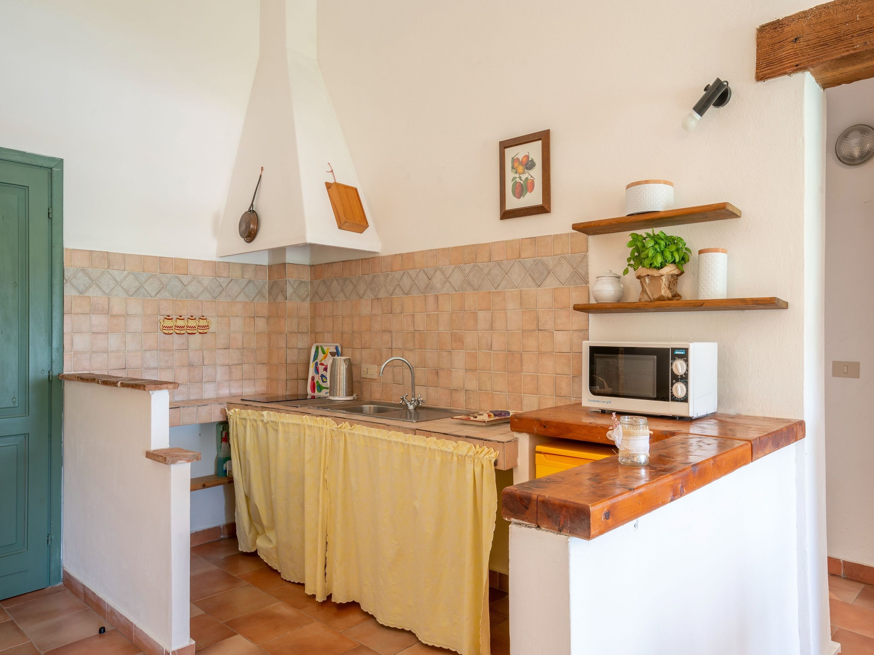 Cocina compacta con un lavamanos, un microondas y un estante con una planta.