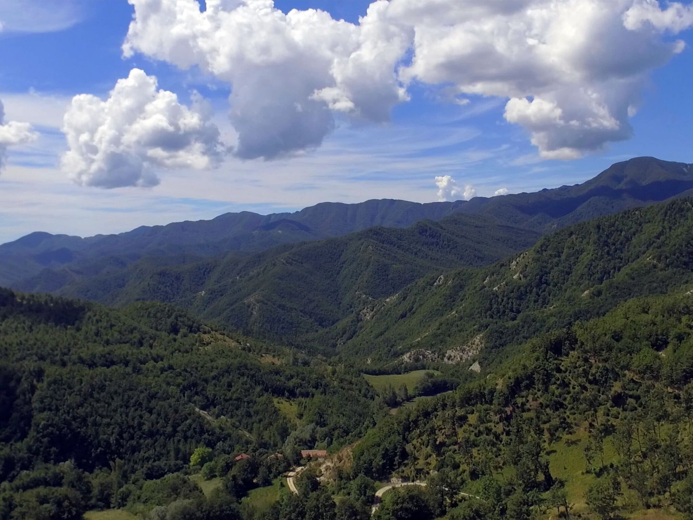 A mountainous landscape with dense forests and a clear sky.
