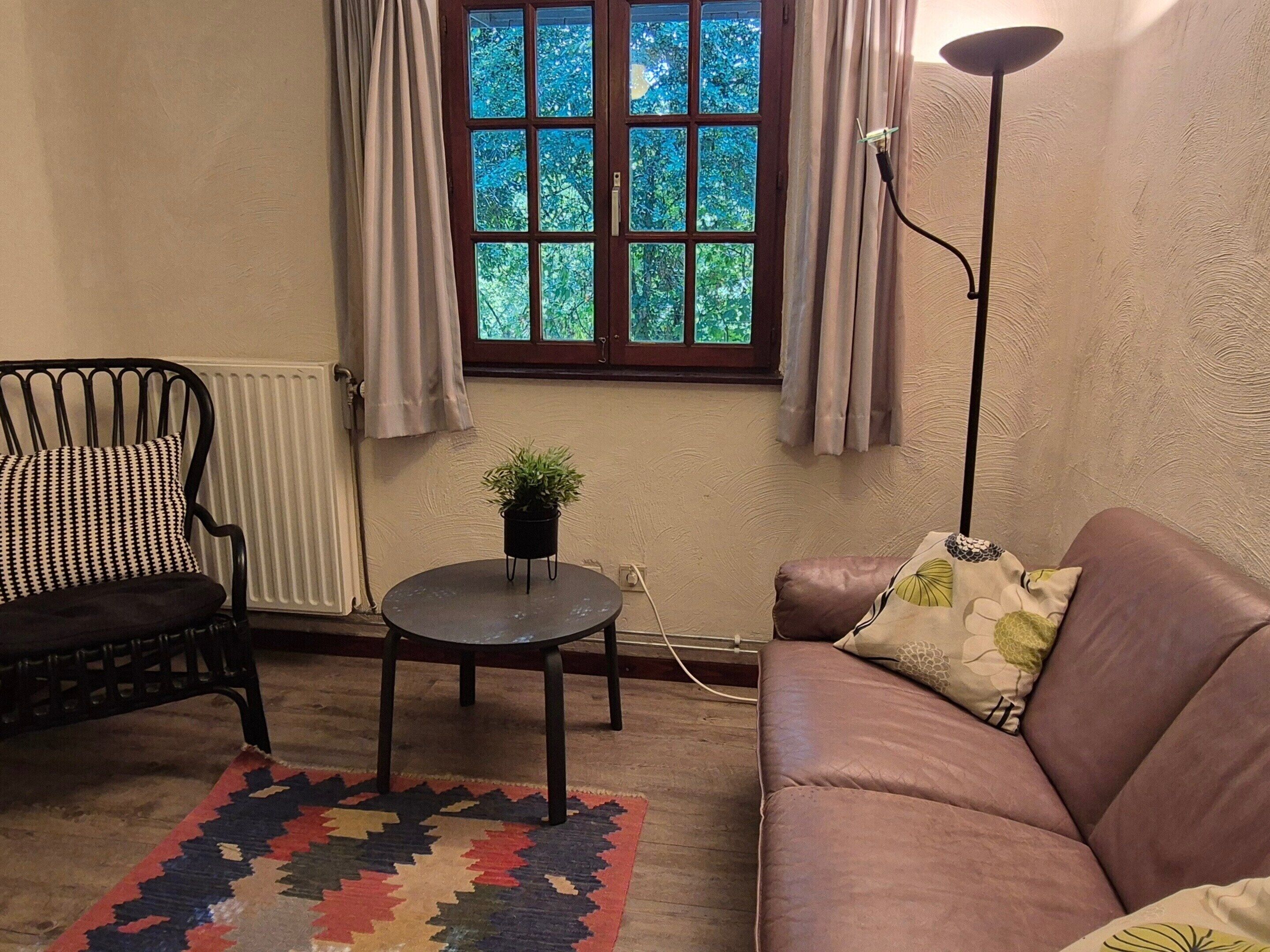 A living room with a sofa, a chair, a small table with a plant, a window with curtains, and a floor lamp.