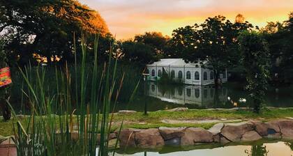 T3C GARDENS