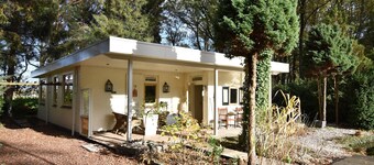 A Detached Bungalow With Outdoor Fireplace, Covered Terrace and Pond in a Forest Plot