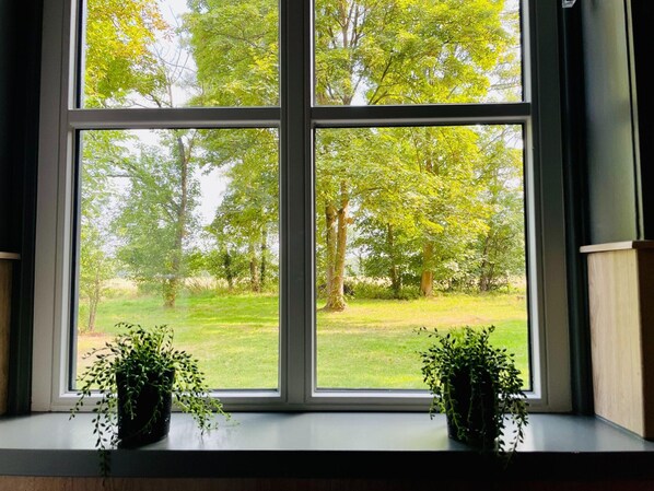 Classic House, 4 Bedrooms | View from property